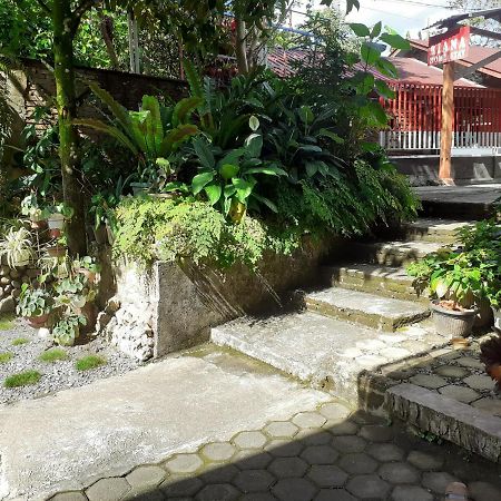 Riana'S Homestay Rantepao Exterior photo